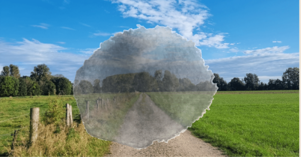 So sehen Menschen mit AMD in einem fortgeschrittenen Zustand die Welt.