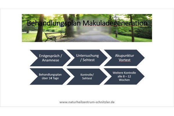 Makuladegeneration Sichtfeld 